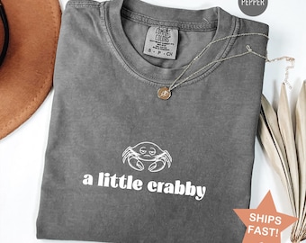 Comfort Colors® A Little Crabby Shirt, Minimalist Beach Shirt, Funny Meme Shirt, A Little Crabby tshirt, Summer Aesthetic, Oversize Women's