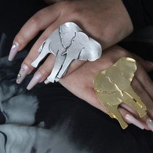 Può includere: Due anelli a forma di elefante, uno in argento e l'altro in oro. L'anello d'argento è sulla mano sinistra e l'anello d'oro è sulla mano destra. Entrambi gli anelli sono indossati sull'indice.