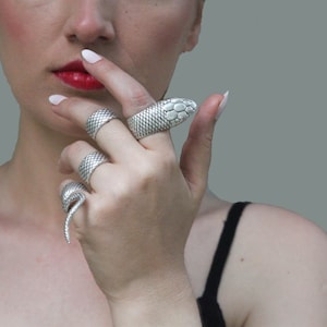 Può includere: Una mano con diversi anelli d'argento. Un anello ha la forma di una testa di serpente, un altro ha un motivo strutturato e un terzo anello ha un design a coda di serpente. Gli anelli sono indossati su più dita.
