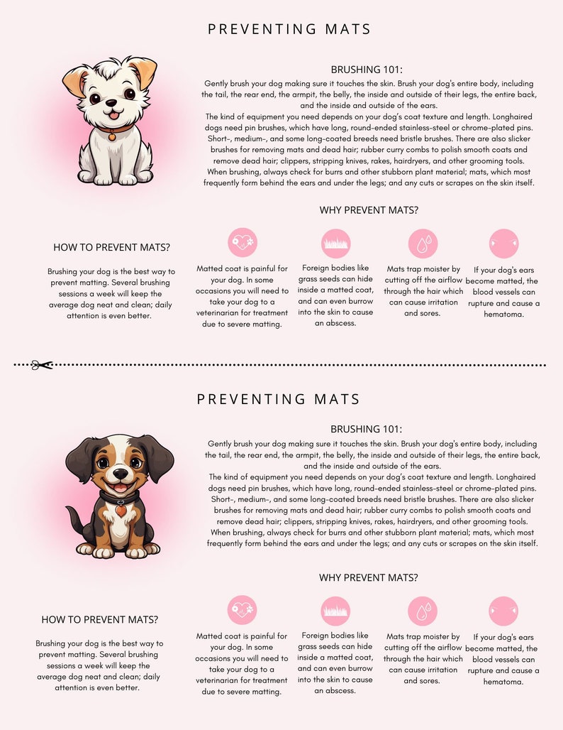 Editable Preventing Mats Dog Grooming Tips Handout Etsy