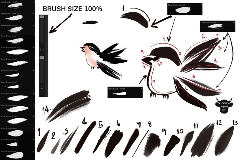 May include: A digital art tutorial showing how to draw a bird using a brush tool in a digital art program. The image shows a bird drawn in black ink with numbered steps showing how to create the bird using different brush sizes. The text "BRUSH SIZE 100%" is at the top of the image.