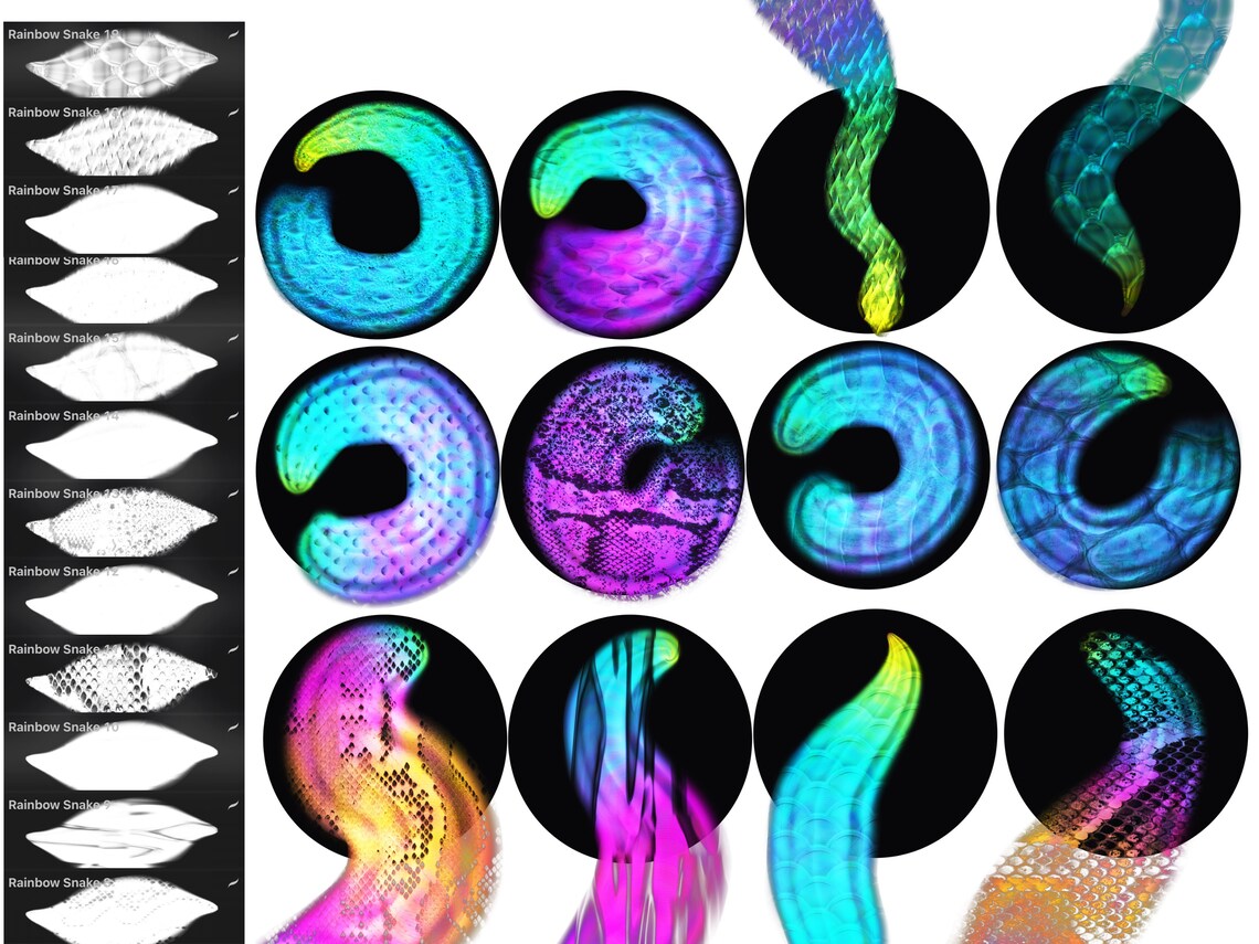 Procreate Gold Snake Brushes Snake Procreate Brushes Snake Etsy