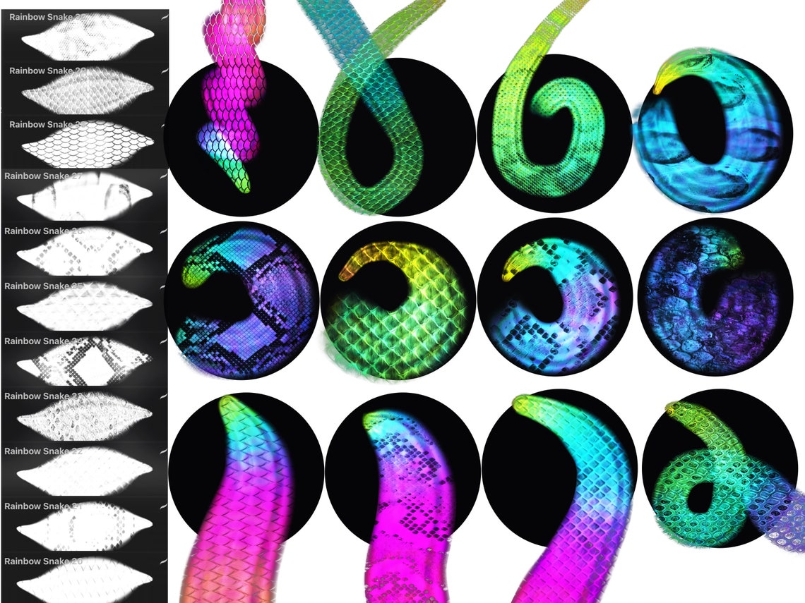 snake scales procreate brush free