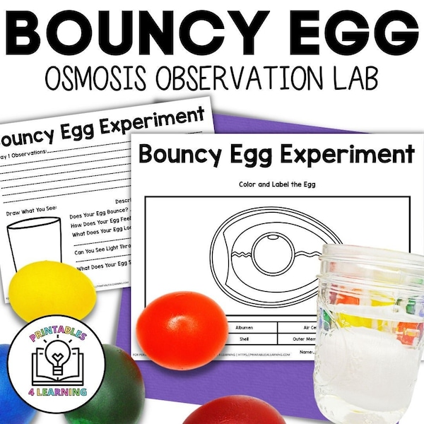 Bouncy Egg Science Observation Experiment