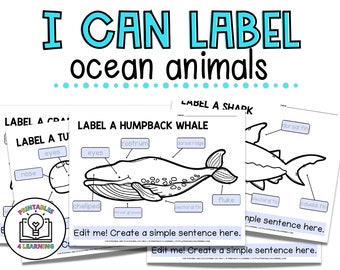 Bewerkbaar label van een oceaandier-werkbladen en miniboek