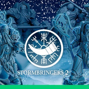 Stormbringers 2 (grey wolves proxy)/ Tabletop Model / Wargaming Miniature | DakkaDakka