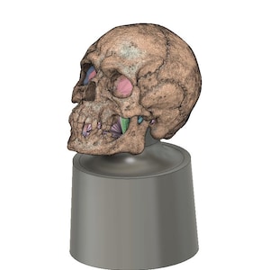 Evil Skull Swatch Caps paint bottle toppers designed by vincent
