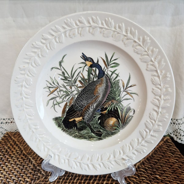 Grande assiette de collection ADAMS England série Birds of America dessin Oie du Canada