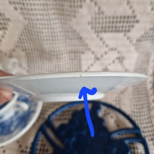 K&ouml;nnte beinhalten: Ein wei&szlig;er Keramikteller mit blau-wei&szlig;em Blumenmuster. Der Teller hat einen kleinen Absplitterung am Rand.