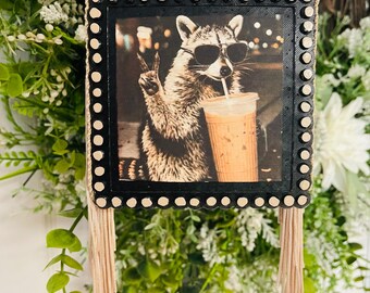 Raccoon Freshie