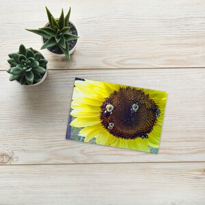 Tournesol Bumble Bee Carte postale 4x6