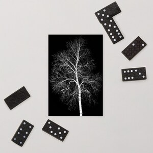Dead Winter Tree Carte postale 4x6