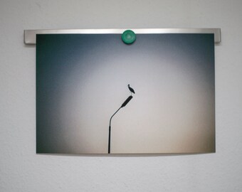 Wydruk fotografii artystycznej na papierze Photo Rag 30 x 40 cm