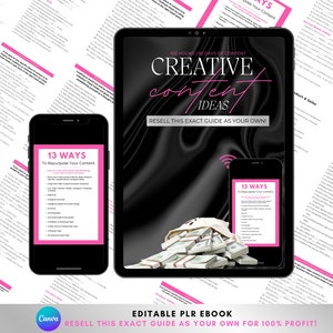PLR, Content Creator Ebook, Done For You, Creative Content Ideas, Content Planner, Side Hustle Business Captions For Social Media