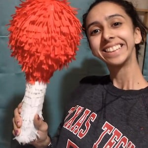 Lollipop Pinata