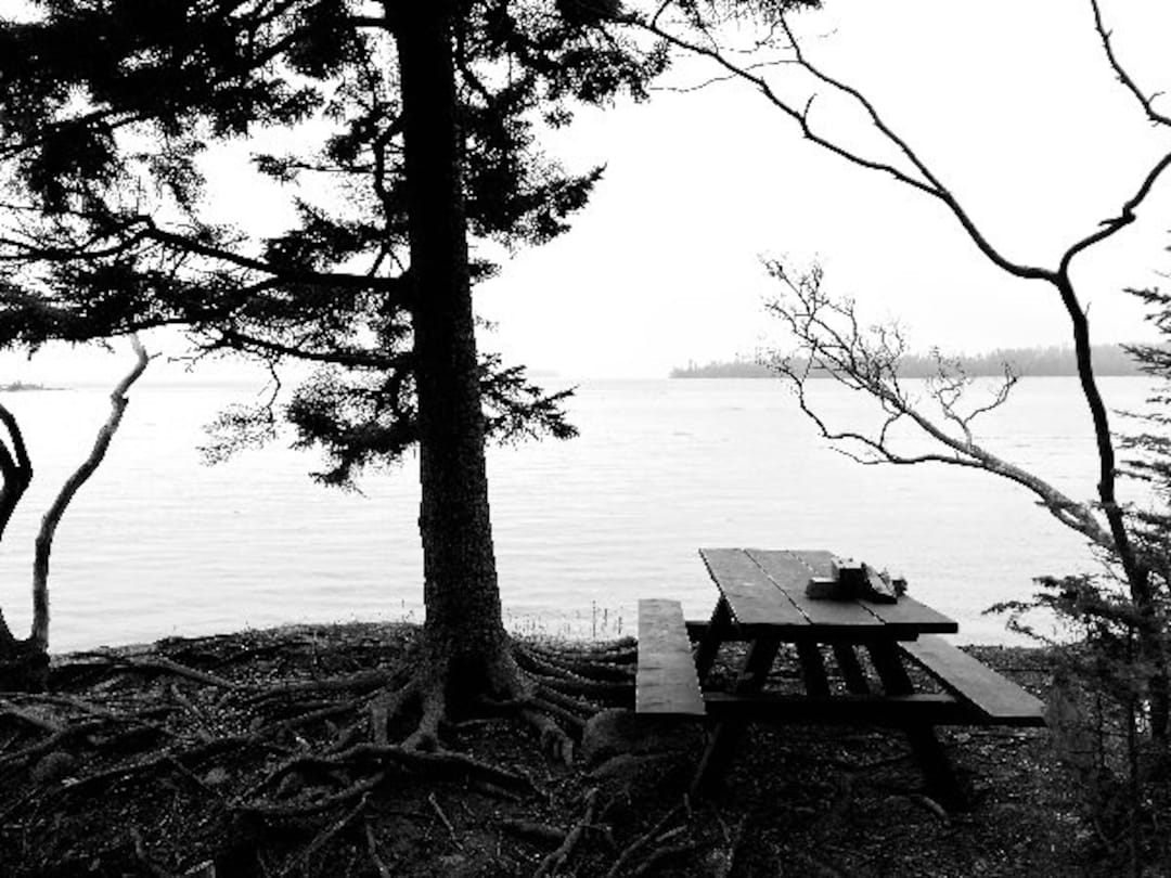 Black and White Picnic, Seaside Picnic Table, Coastal Landscape, Wall