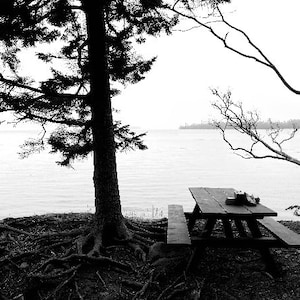 Black and White Picnic, Seaside Picnic Table, Coastal Landscape, Wall Art, Home Decor