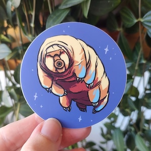 BÄRTIERCHEN IM WELTALL Sticker | Niedlicher Tardigrade Wasserbär Mikrofauna Biologie Zeichnung | Wissenschaft Aufkleber für Laptop