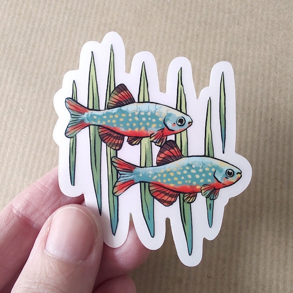 CELESTIAL PEARL DANIO Clear Sticker | Colourful Galaxy Rasbora Nano Fish Art  | Transparent Waterproof Vinyl Decal