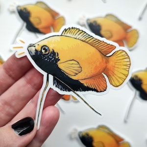HONING GOURAMI ZWART Duidelijke sticker | Tropische aquariumvissenkunst | Nano-viskweekcadeau | Transparante waterdichte vinylsticker: