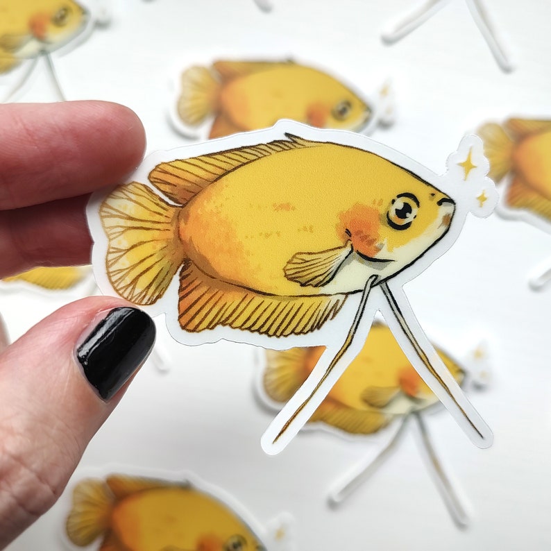 HONEY GOURAMI GOLD Clear Sticker Tropical Aquarium Fish Art Nano Fishkeeping Gift Transparent Waterproof Vinyl Decal image 2