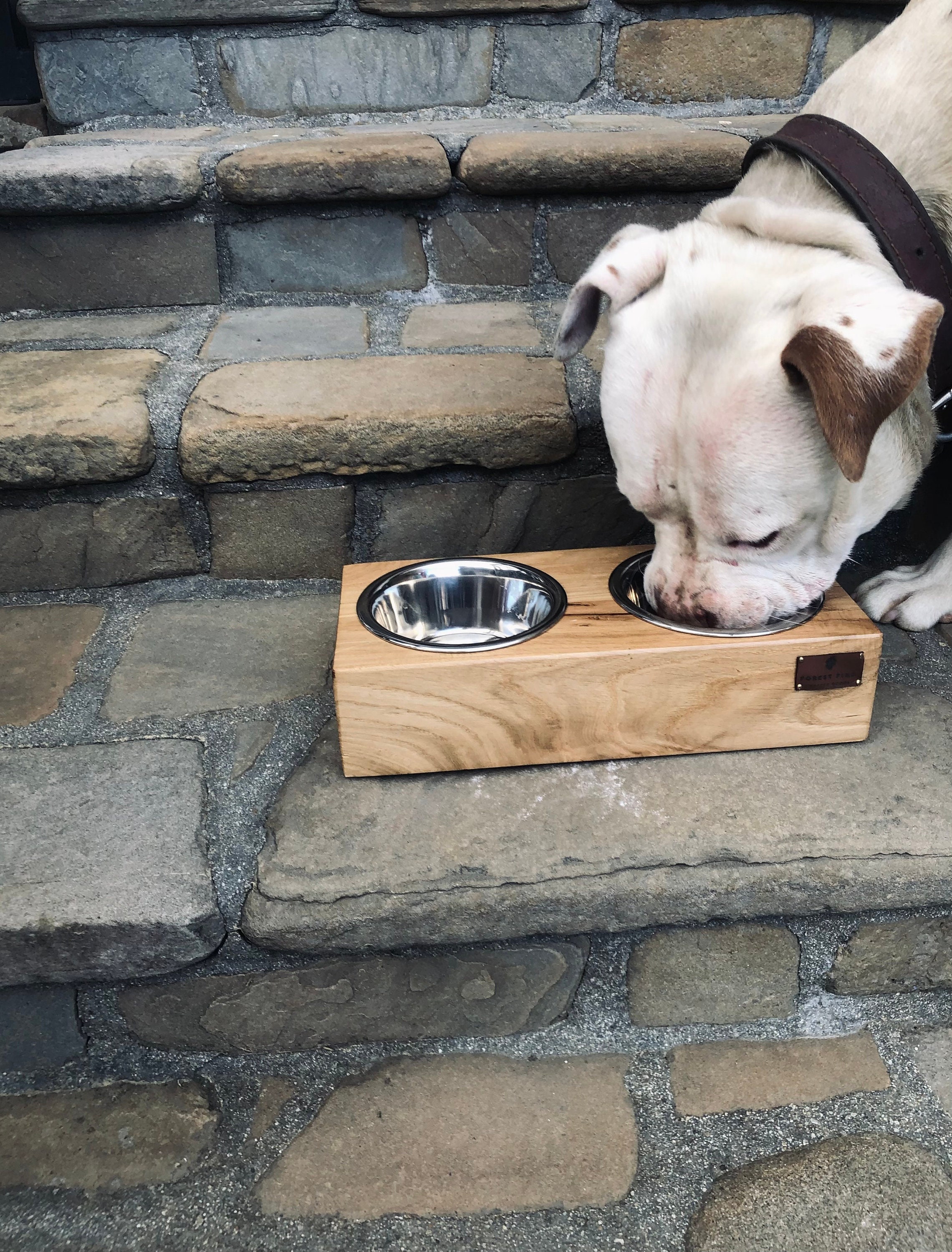 Covered 2024 dog bowl