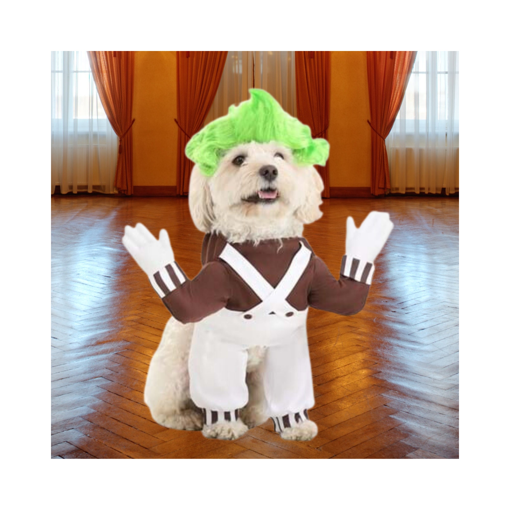 Halloween Oompa Loompa Pet Costume