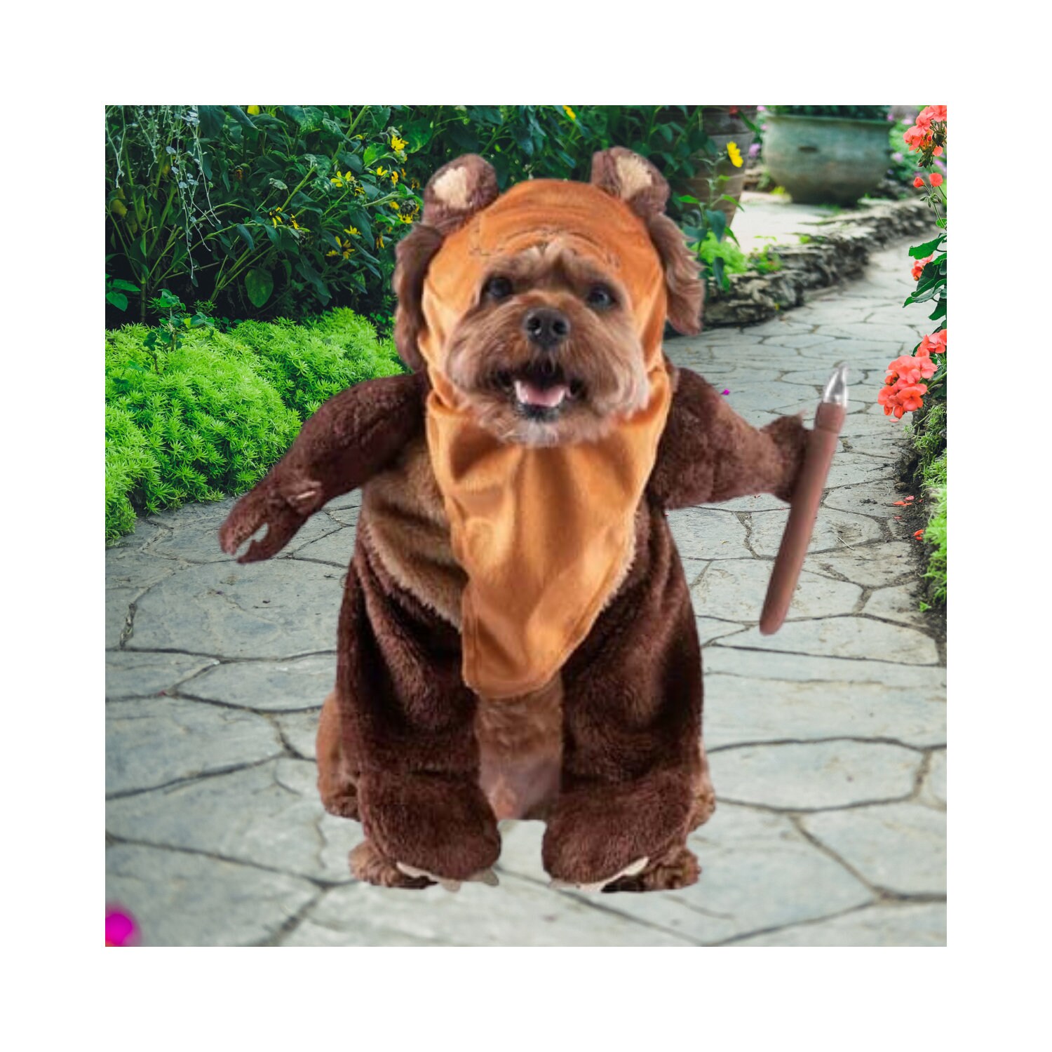 Halloween Ewok Pet Costume - Etsy