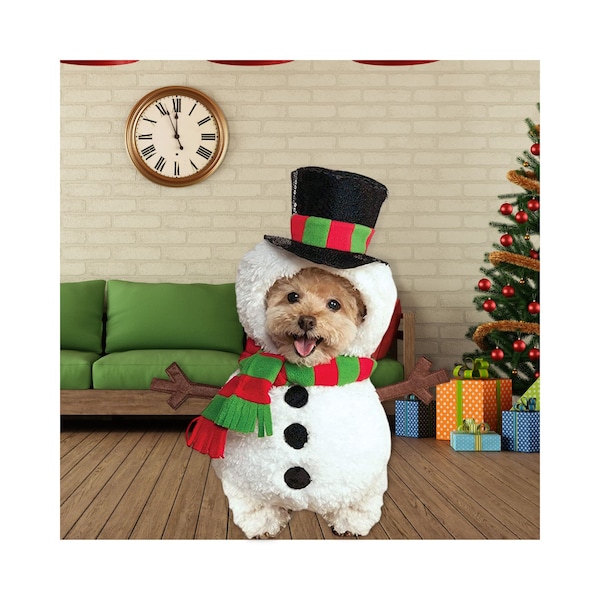 Snowman Costume Etsy