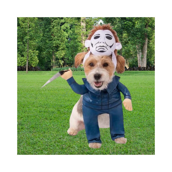 Pet Costume - Etsy