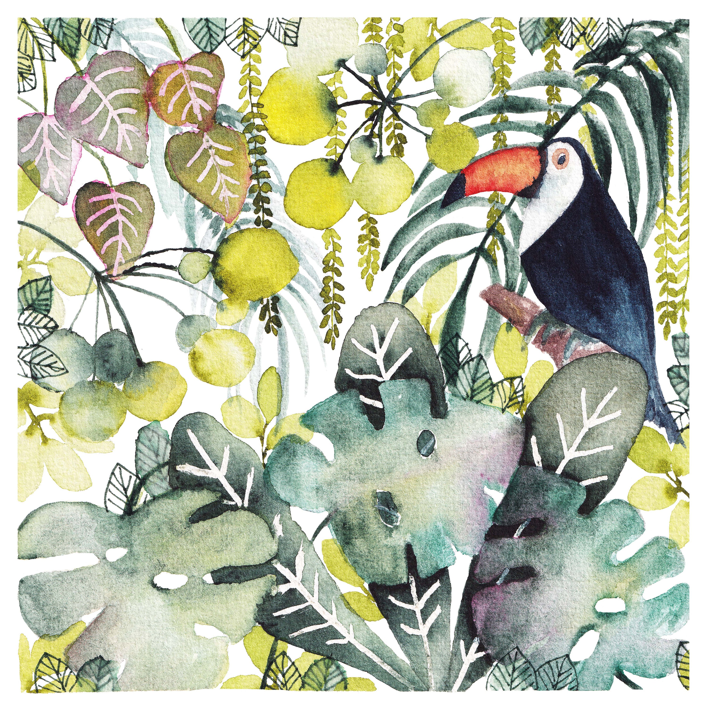 Affiche Illustration Toucan Dans La Jungle