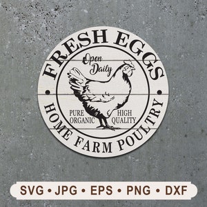 vintage fresh egg Sign SVG, home farm poultry sign, pure organic egg Printable, Cricut, open daily egg sign Digital, farm poultry print