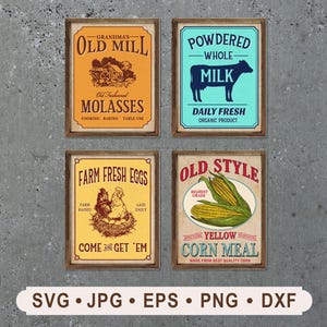 Vintage Kitchen Labels svg, Colored Container Labels, Bundles Kitchen Labels Printable, Set of 4 Kitchen Label Graphics, Digital Download