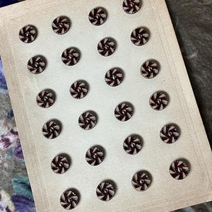 24 vintage caseïne plastic knopen op een voorbeeldkaart - 13 mm