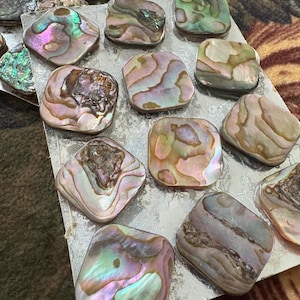 May include: A collection of iridescent abalone shell squares, displaying a spectrum of colours such as pink, green, and purple. The shells are arranged on a silver surface, emphasising their natural patterns and textures. These decorative shells are suitable for jewellery making or craft projects.