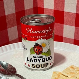 May include: A metal soup can labeled Homestyle Condensed Cream of Ladybug Soup with a ladybug and daisy graphic, accompanied by two silver spoons and three square saltine crackers on a white plate. The can text reads 13-15 ladybugs.