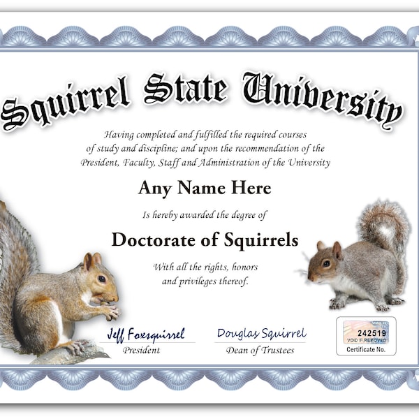 Personalized Squirrel University Certificate - Digital or Printed - Custom Funny Gag Joke Diploma - GREAT BIRTHDAY GIFT - Christmas Present