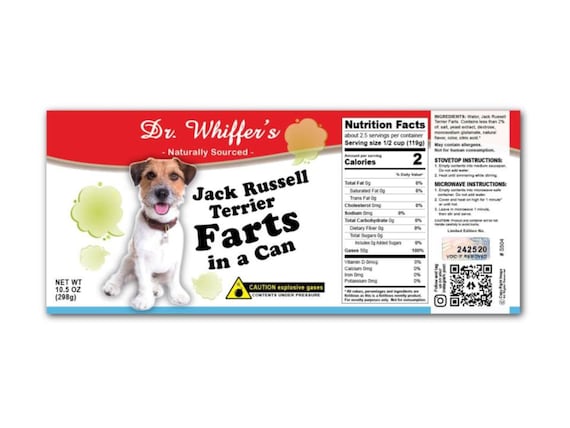 Does The Jack Russell Terrier Have Rabies