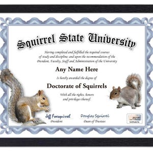 Personalisiertes EICHHÖRNCHEN Universitäts-Zertifikat - Digital, Gedruckt oder Gerahmt - Benutzerdefiniertes Lustiges Gag-Diplom GROSSES Geburtstags-GESCHENK Weihnachtsgeschenk