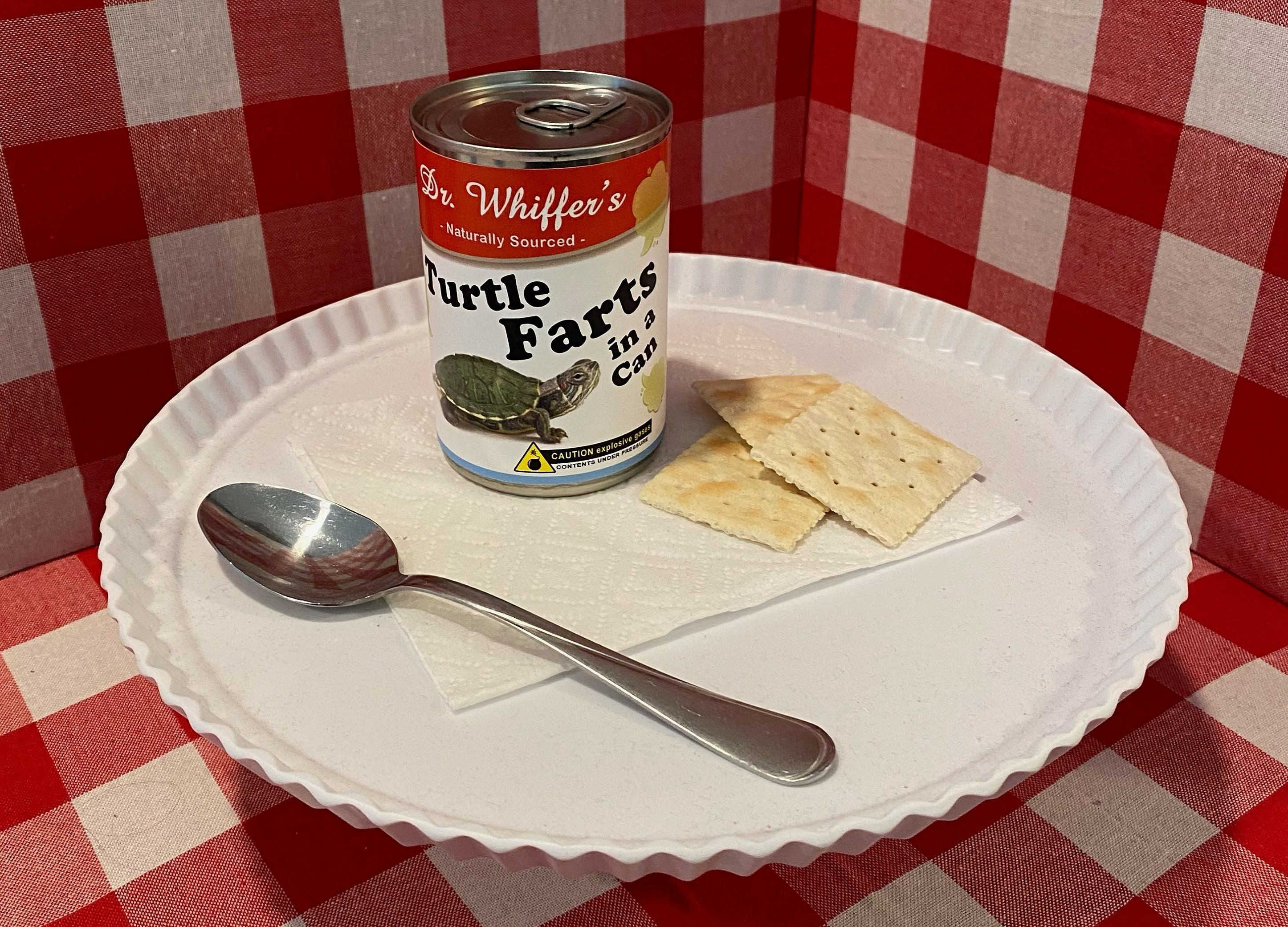 2X Funny Turtle Farts Soup Can Labels - GREAT GIFT for Pet Lover Owner Mom Dad Kids - Adorable Cute and Unique - Gag Gift Prank Birthday
