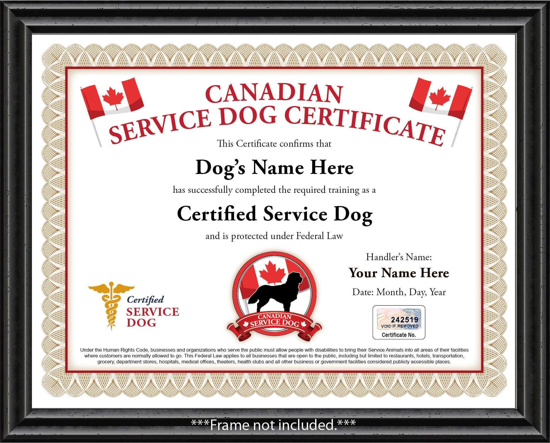 How Do You Get A Service Dog Certificate how-do-you-get-a-service-dog-certificate