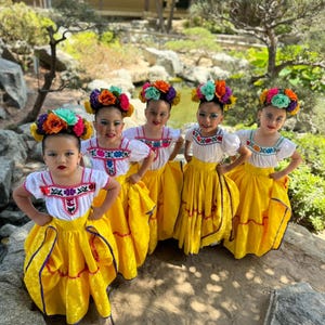 Folklorico Besticktes Hemd (Bluse) Blusa Mexicana