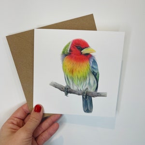 Cartão Barbet de cabeça vermelha, pássaro Barbet de cabeça vermelha, pássaro da Costa Rica, pássaro do paraíso, pássaro tropical, pássaro exótico