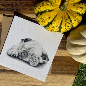 Biglietto di auguri Bulldog britannico, Biglietto di auguri Bulldog inglese, Biglietto Bulldog