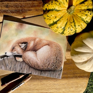 Fox Greeting Card, Fox Card, British Wildlife, Greetings Card, Red Fox
