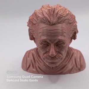 Albert Einstein (zijderoze)