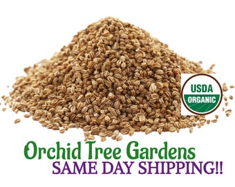 Celery Seeds whole UDSA ORGANIC Same Day Shipping!!!* Dried Herb