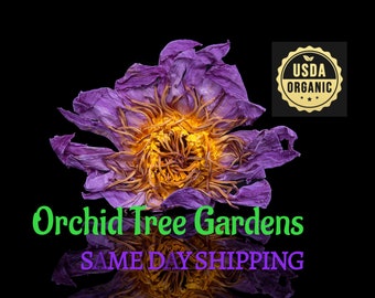 Blue Lotus Flower - whole UDSA ORGANIC Dried Herb - Same Day Shipping!!!!*