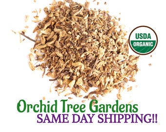Echinacea Root/Purpurea cut & sifted UDSA ORGANIC Same Day Shipping!!!* Dried Herb