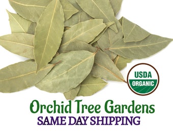 Bay Leaf - Whole  UDSA ORGANIC Same Day Shipping!!!!